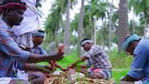 SHARK FISHES | Tiny Shark Fish Recipe Cooking in Village | Sura Meen Kulambu | Shark Fish Recipes