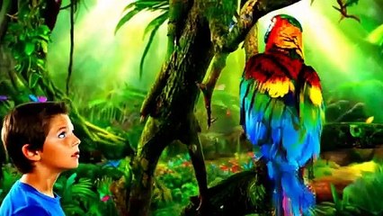 😂 Hilarious Parrot and Tarzan Shorts to Brighten Your Day!