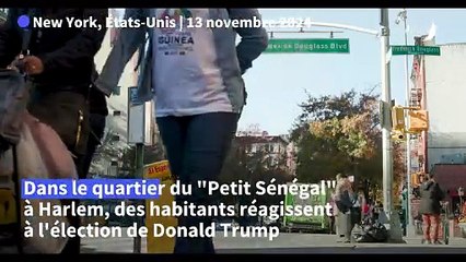 Au "Petit Sénégal" de New York, réactions à l'élection de Donald Trump