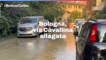 Bologna, via Cavallina allagata