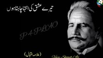 Allama Iqbal Shayari | Urdu Shayari | Shayari Status | Whatsapp Status | Heart Touching Poetry