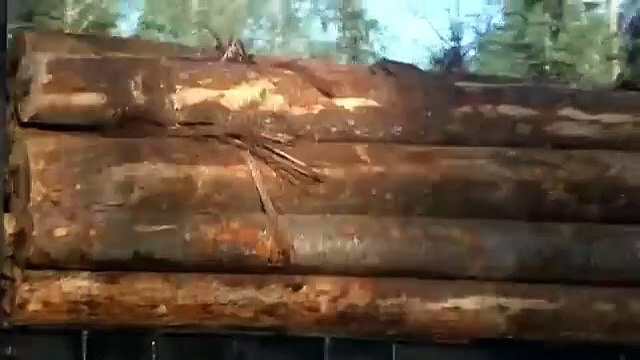 Final Destination 2 (2003) - premonition of a deadly pileup, caused by a semi carrying logs