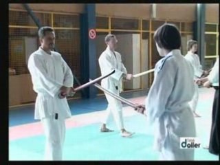 Aïkido Traditionnel: Stage de Masevaux avril 2008