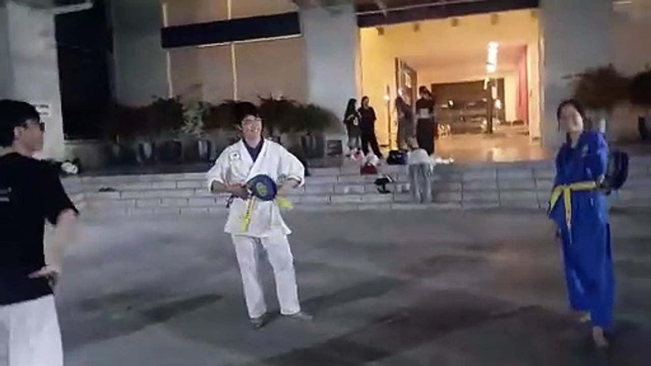 Taekwondo, tkd 20241111_193045