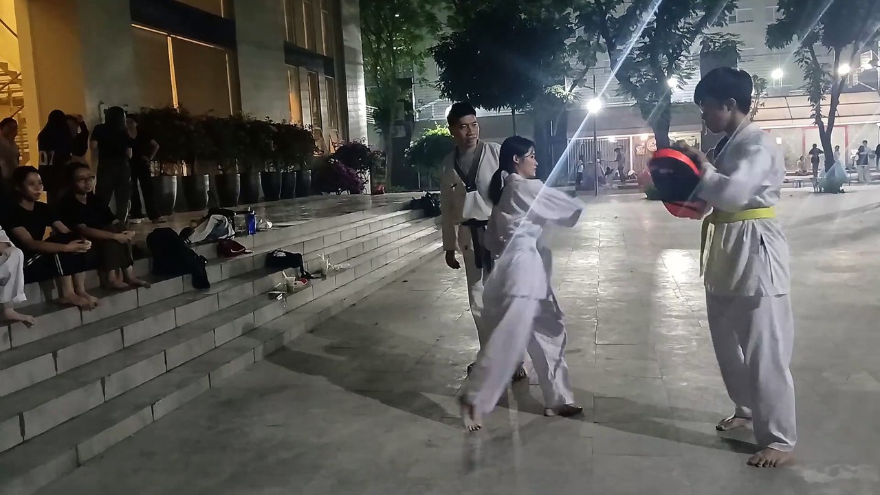 Taekwondo, tkd 20241111_195059