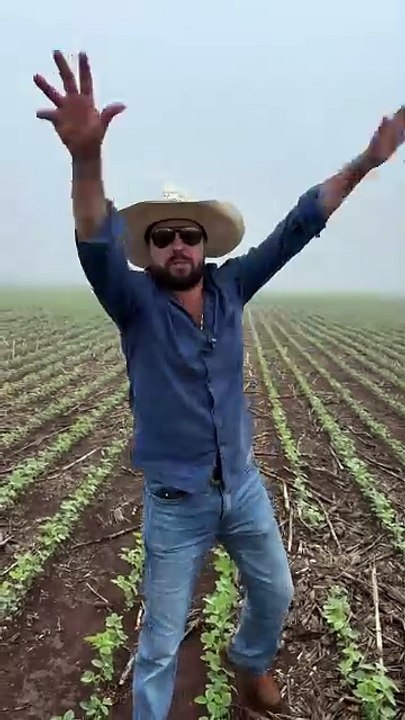 #agro #agronomia #milho #soja #agronegocio #agricultura #agrotaigo #agriculture #fazenda @salvatico.agro