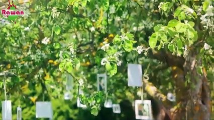 Ent Ghali - Abdulla AlSinani - انت غالي - عبدالله السناني 2016