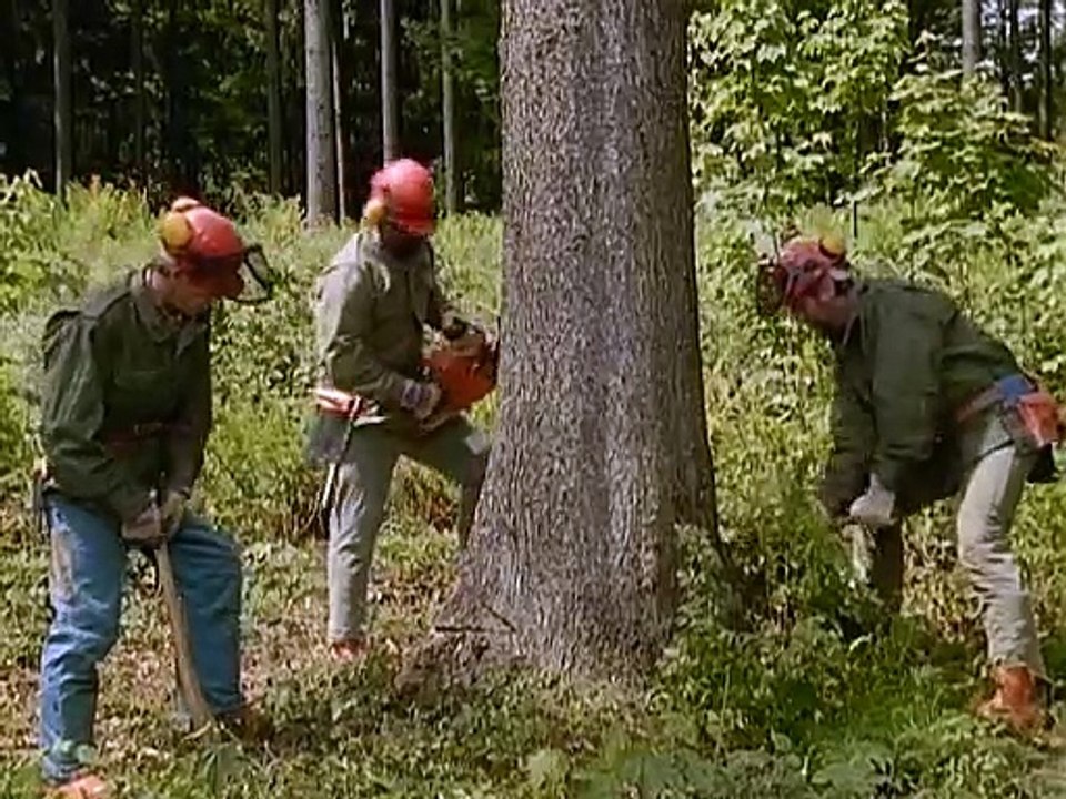 S05E05 - Der Maibaum