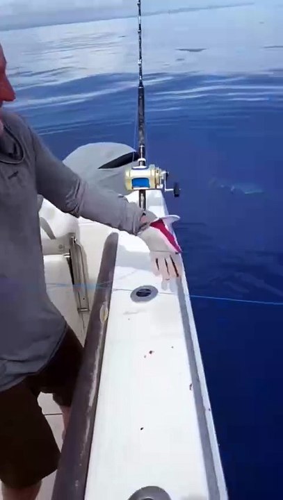 Video Mancing (5)