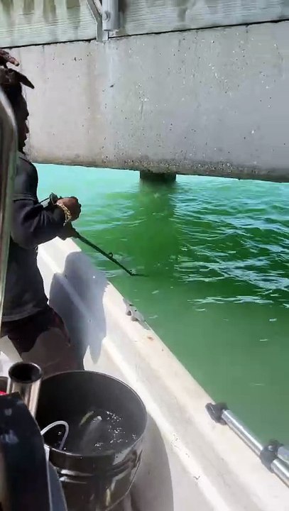 Video Mancing (3)