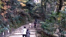 彦根城