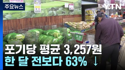 배춧값 한 달 사이 63% '뚝'...유통가 "김장족·김포족 잡아라!" / YTN