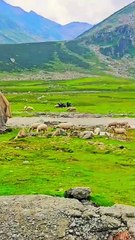 Warwan Valley a treasure of Jammu and Kashmir.