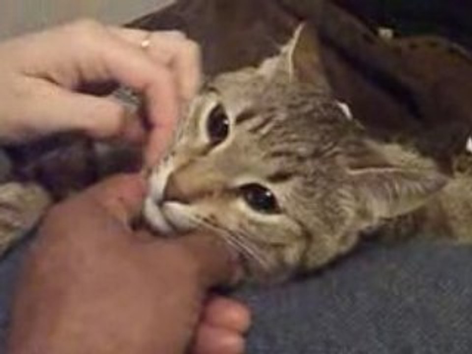 Calin ti Diez