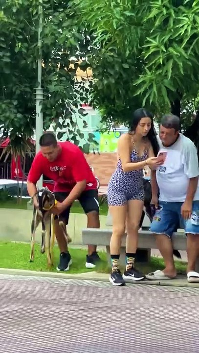 dog exchanged for goat