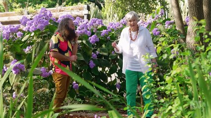 Gardening Australia 2024 Episode 34