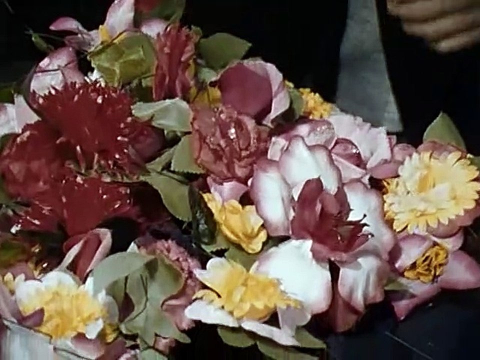 Butler Parker E04-Zwischenfall in Brighton