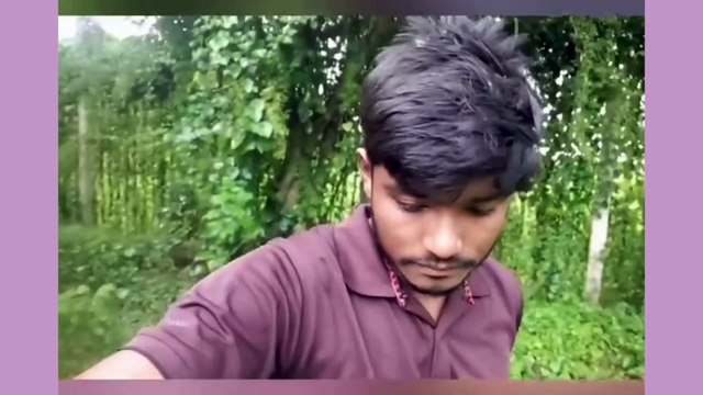 Exploring-the-Heart-of-the-Amazon-A-Forest-Travel-Adventure