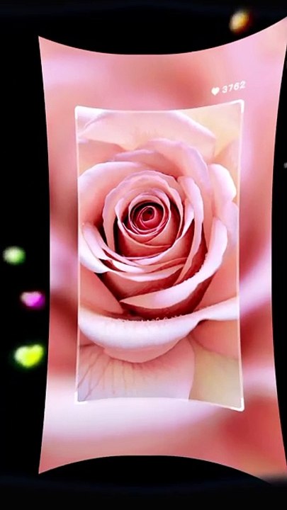 Ping Rose