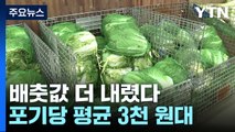 배춧값 60% 넘게 '뚝'...유통가 