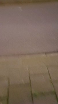 fresque rue du curoir Roubaix