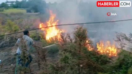 Manavgat'ta Sazlık Yangınına Vatandaşlardan İlk Müdahale