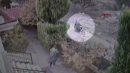 Tüfekle komşusunun beslediği yavru köpeği öldürdü