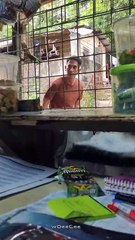 I just want to buy candy