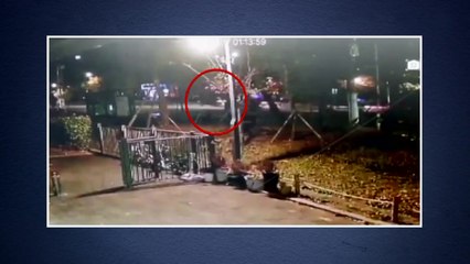 음주단속 거부하고 도망친 운전자, 경찰 추격 끝 검거 / YTN