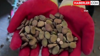 Gümrük Muhafaza Ekiplerinden Kaçakçılara Büyük Darbe