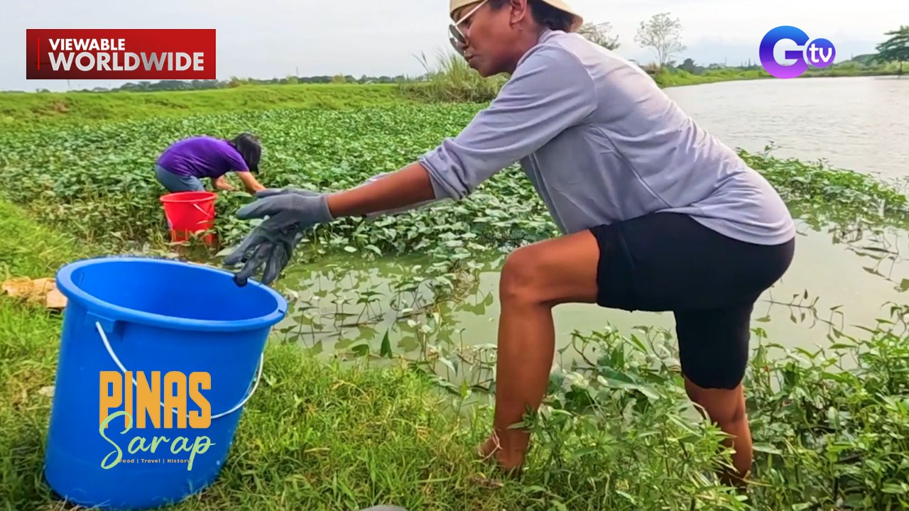 Kara David at Wilma Doesnt, go na go sa challenge ng paramihan ng mahuhuling suso| Pinas Sarap