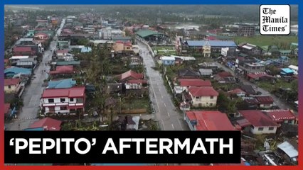 Fallen trees, damaged houses after Pepito hits the Cantanduanes