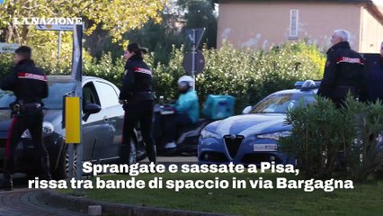 Sprangate e sassate a Pisa, rissa tra bande di spaccio in via Bargagna