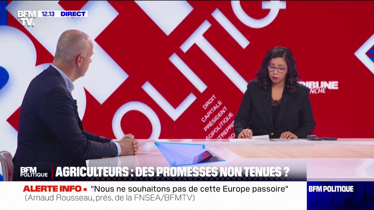 "Plusieurs dizaines de milliers" d'exploitations agricoles sont "en danger", estime Arnaud Rousseau