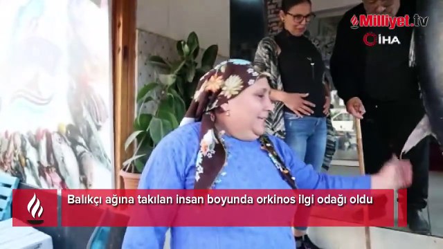 Balıkçı ağına insan boyunda orkinos takıldı