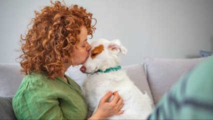 Cómo Hacer Saber A Tu Perro Que Le Quieres