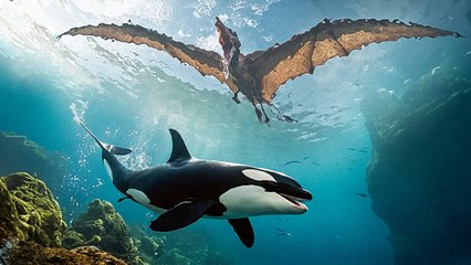 Pourquoi les Mammifères ont Survécu à l’Astéroïde, Mais pas les Dinosaures