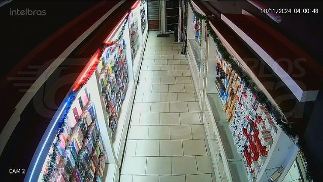 Câmera de segurança flagra furto em loja no calçadão; veja vídeo