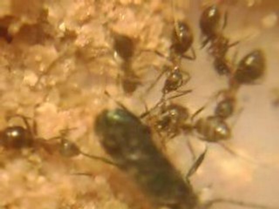 L union fait la force 2