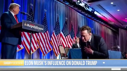 Elon Musk’s role in Trump’s new cost-cutting agency draws concern