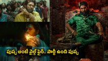 Pushpa2 The Rule Trailer Review: పుష్ప అంటే నేషనల్ అనుకుంటిరా..పుష్ప అంటే  ఇంటర్ నేషనల్..