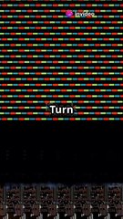 invideo-ai-1080 How to Clean Your PC with an Air Blower  2024-11-17