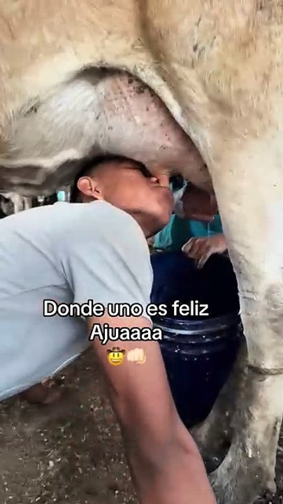 Reacciones inesperadas a bromas extremas 🤣😂🤣😂