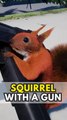 SQUIRREL WITH A GUN ⭐: Un des jeux les plus WTF du moment !