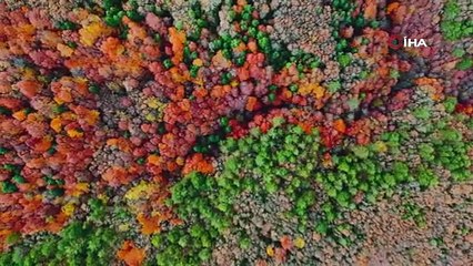 Gölcük sonbaharda mest etti