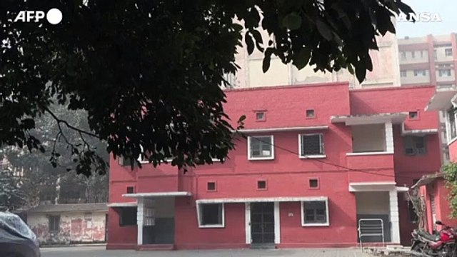 A scuola solo scimmie e scoiattoli, primarie chiuse per inquinamento a New Delhi
