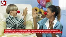 Los niños enfermos mejoran más rápido cuando los visitan payasos de hospital