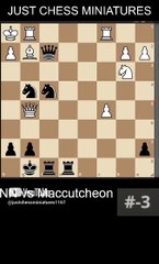 NN vs Maccutcheon. Two Knights checkmate