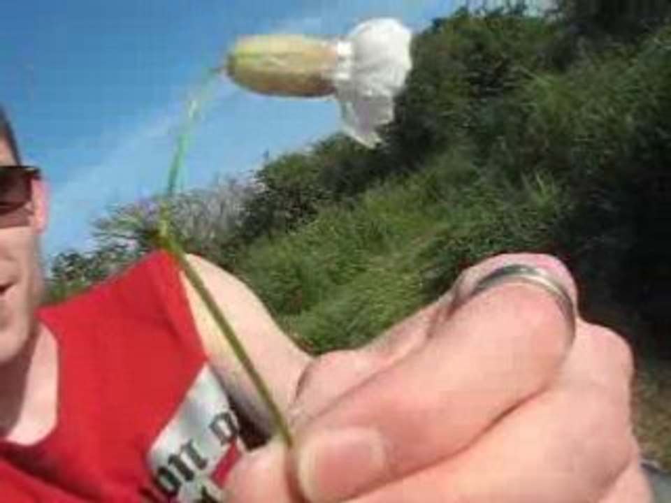 La vie de la petite fleur