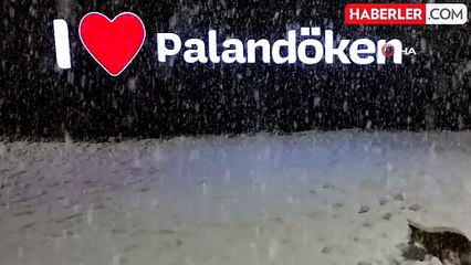 Palandöken'de Tilki Eğlencesi